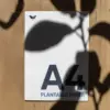 Hoja A5 impresa en papel plantable sobre una superficie de madera con sombras