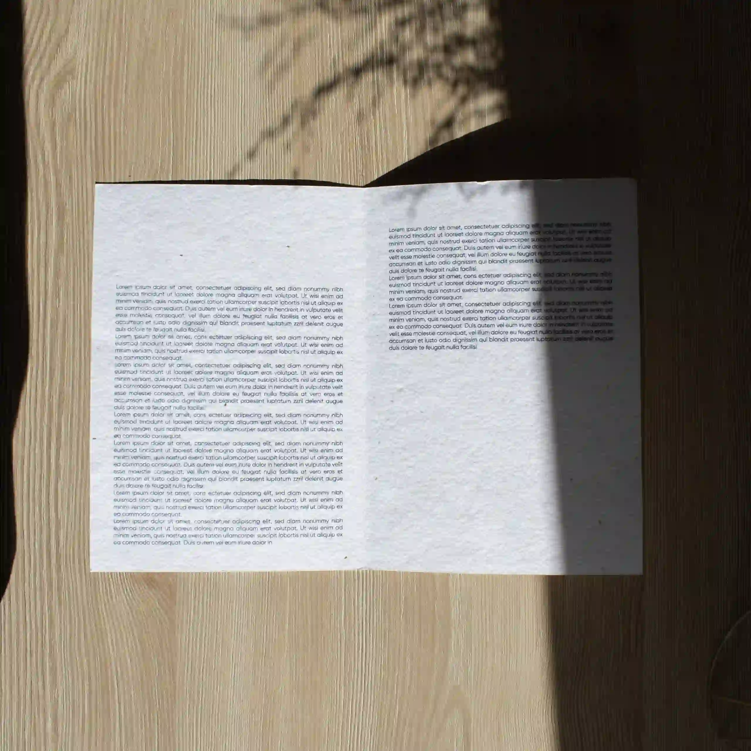 Díptico A5 abierto impreso en papel plantable sobre una superficie de madera con sombras