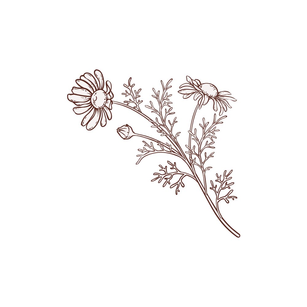 Chico moreno de frente llevando jeans y una sudadera blanca con capucha personalizada