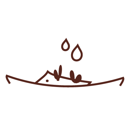 Icono instrucciones Papel Plantable Paso 2