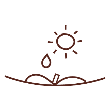 Icono instrucciones de plantado bolígrafo con semillas