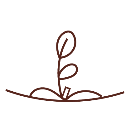 Icono instrucciones Papel Plantable Paso 3