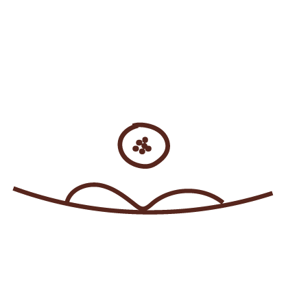 Icono instrucciones de plantado bombón plantable