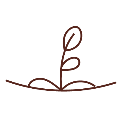 Icono instrucciones de plantado bombón plantable