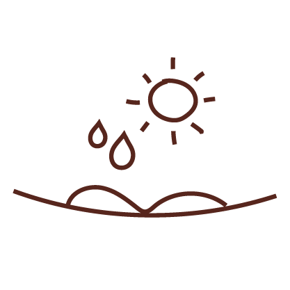 Icono instrucciones de plantado kit de siembra