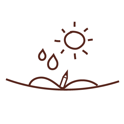 Icono instrucciones de plantado lápiz con semillas