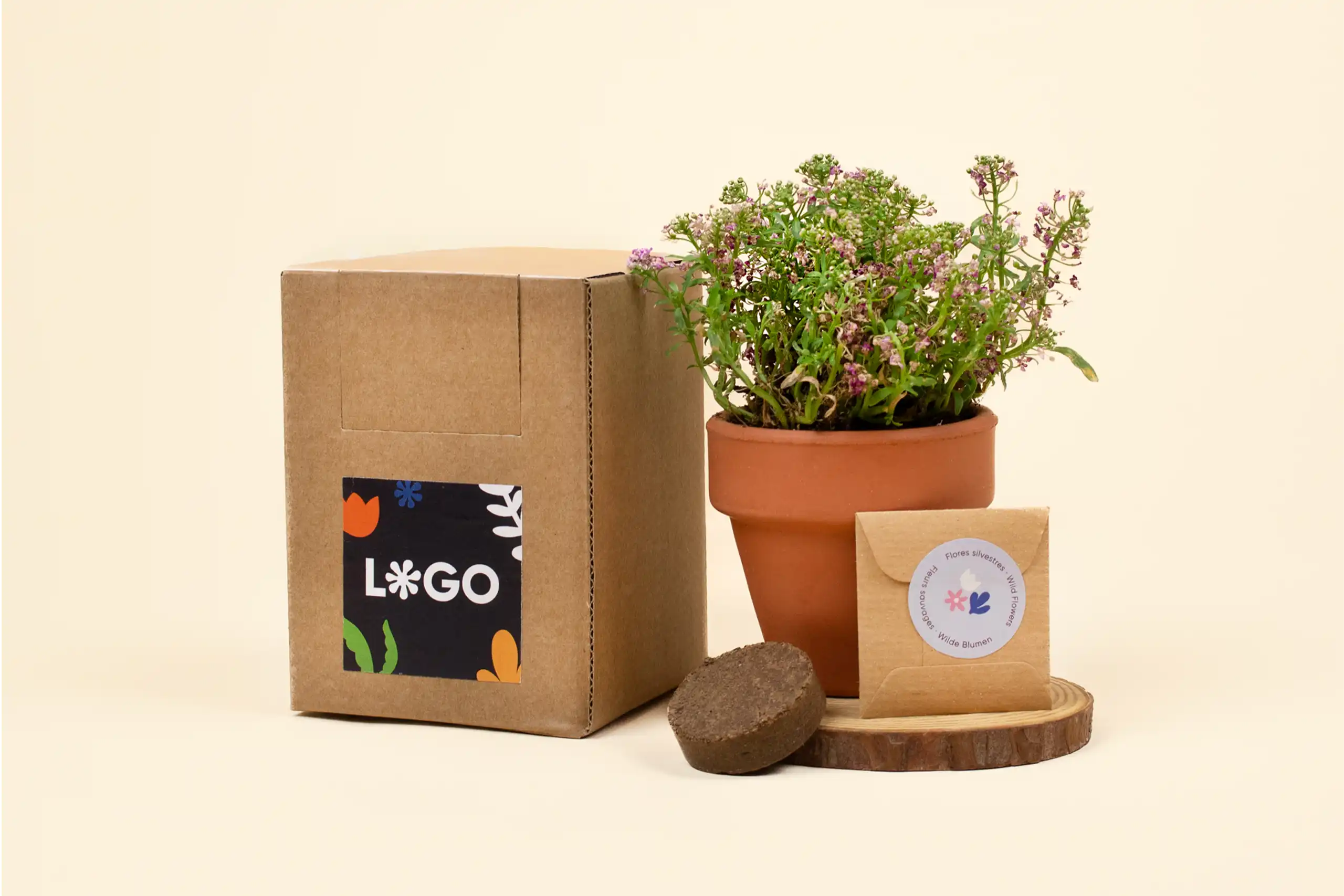 kit de siembra germinado junto a un sobre pequeño de semillas, una pastilla tierra deshidratada, y una maceta de barro y una caja de cartón kraft