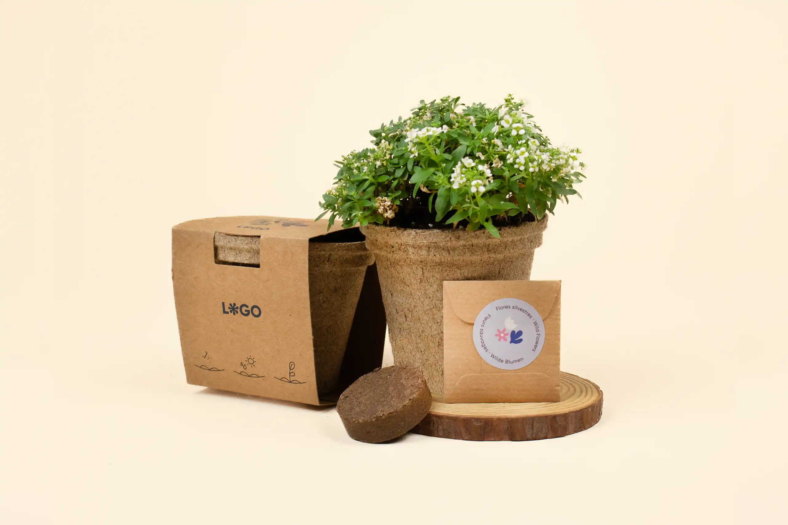 kit de siembra germinado junto a un sobre pequeño de semillas, una pastilla tierra deshidratada, y una maceta de fibra de coco envuelta en una faja kraft